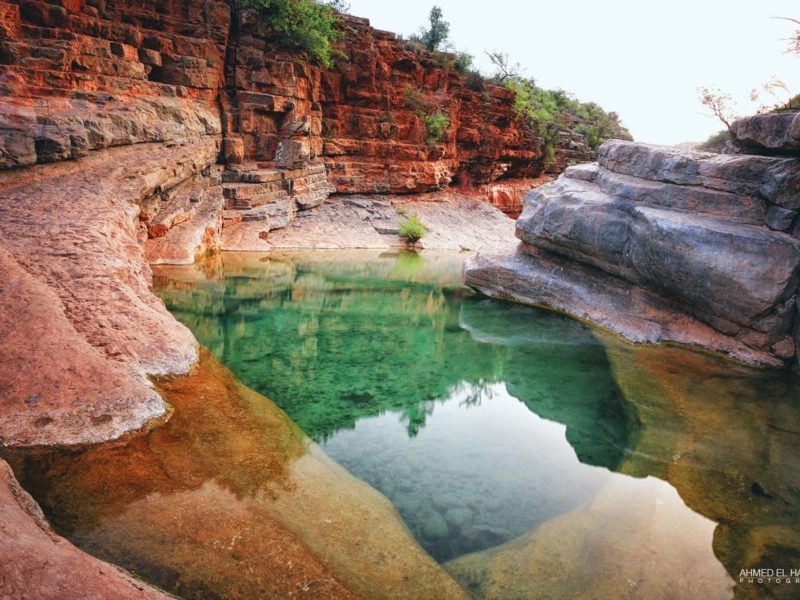 oasis de merzouga 